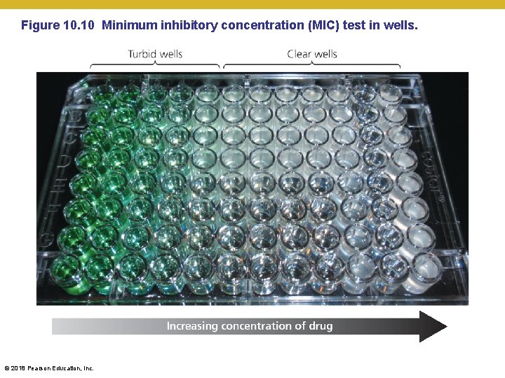 Figure 10. 10 Minimum inhibitory concentration (MIC) test in wells. © 2018 Pearson Education,