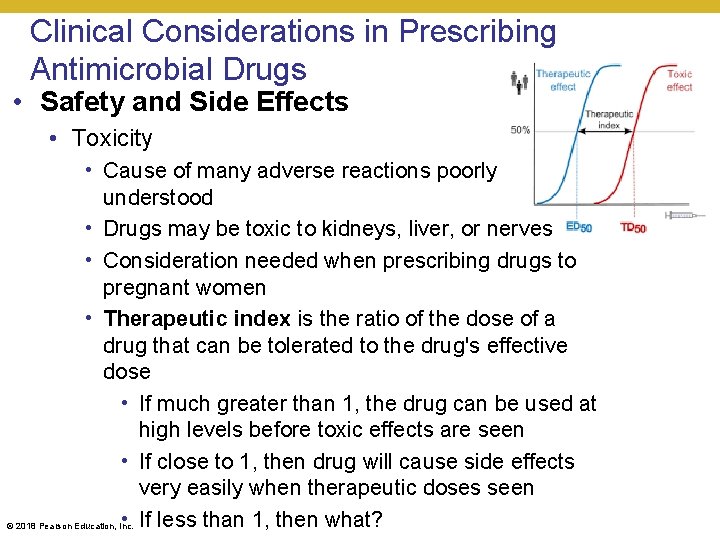 Clinical Considerations in Prescribing Antimicrobial Drugs • Safety and Side Effects • Toxicity •