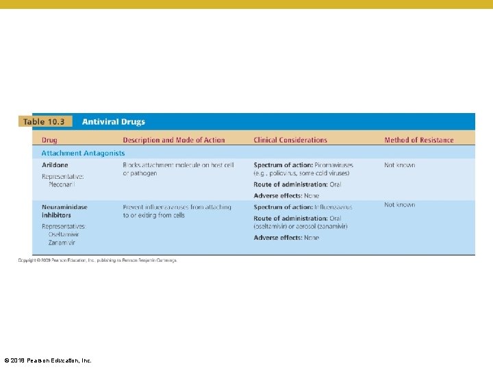 [INSERT TABLE 10. 3] © 2018 Pearson Education, Inc. 