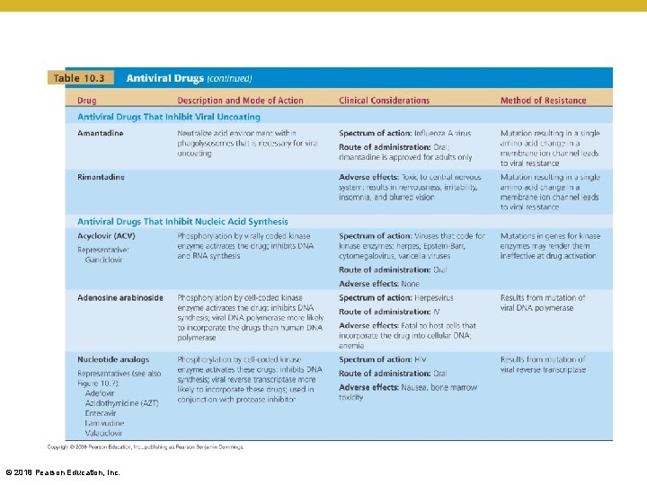 [INSERT TABLE 10. 3] © 2018 Pearson Education, Inc. 