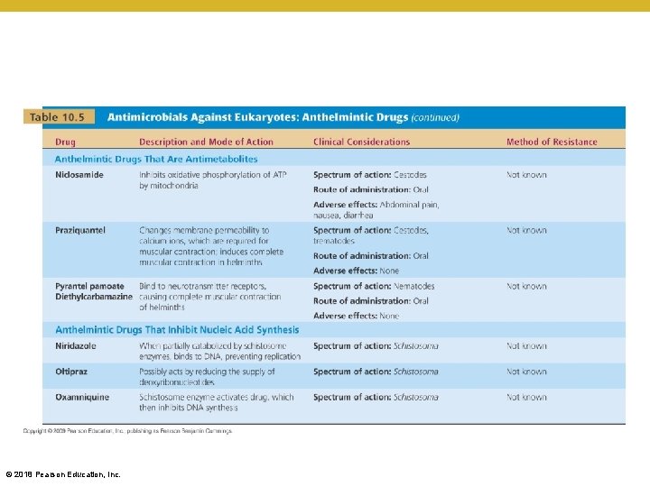 [INSERT TABLE 10. 5] © 2018 Pearson Education, Inc. 