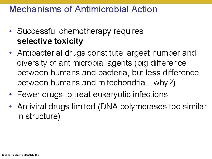 Mechanisms of Antimicrobial Action • Successful chemotherapy requires selective toxicity • Antibacterial drugs constitute