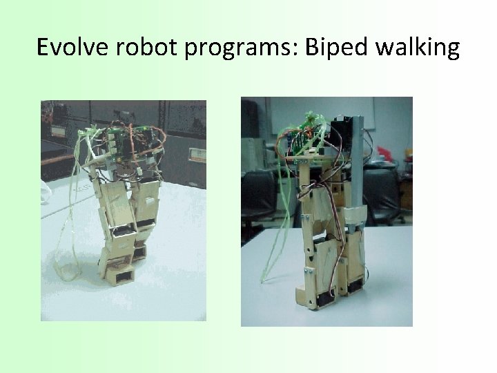 Evolve robot programs: Biped walking 