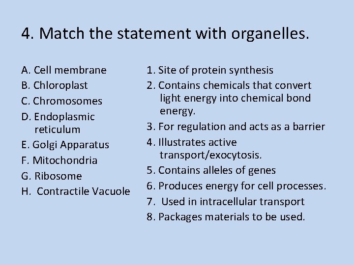 4. Match the statement with organelles. A. Cell membrane B. Chloroplast C. Chromosomes D.