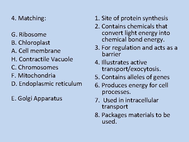 4. Matching: 1. Site of protein synthesis 2. Contains chemicals that convert light energy