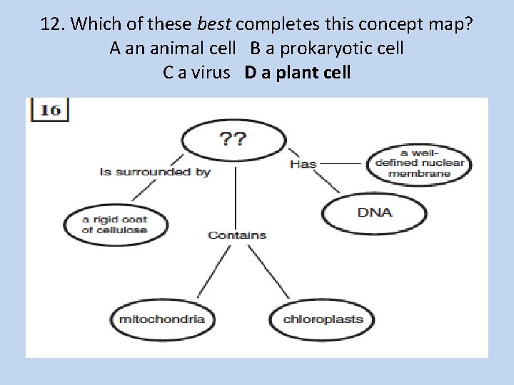 12. Which of these best completes this concept map? A an animal cell B