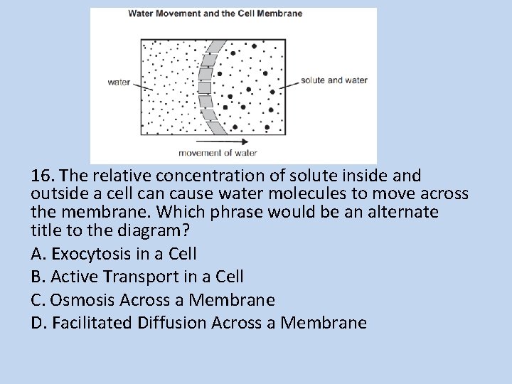 16. The relative concentration of solute inside and outside a cell can cause water