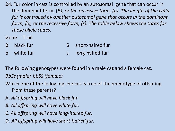 24. Fur color in cats is controlled by an autosomal gene that can occur