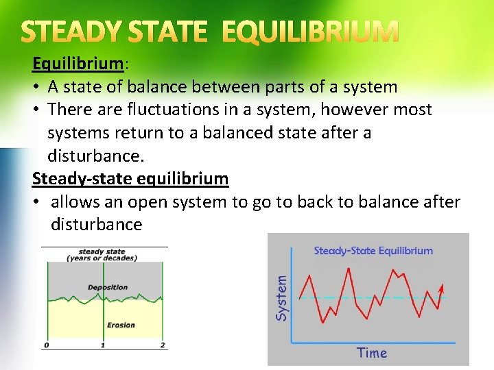 STEADY STATE EQUILIBRIUM Equilibrium: • A state of balance between parts of a system