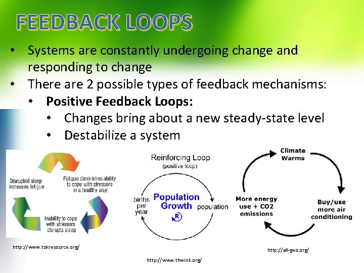 FEEDBACK LOOPS • Systems are constantly undergoing change and responding to change • There