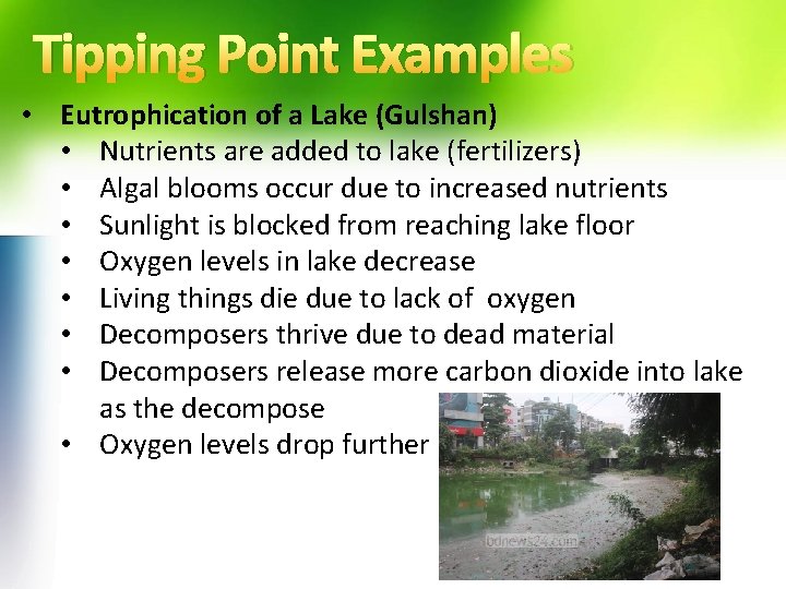 Tipping Point Examples • Eutrophication of a Lake (Gulshan) • Nutrients are added to