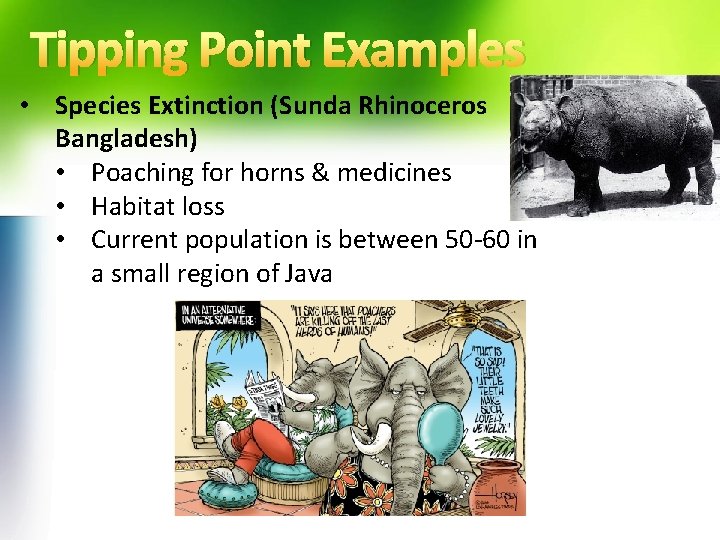 Tipping Point Examples • Species Extinction (Sunda Rhinoceros Bangladesh) • Poaching for horns &