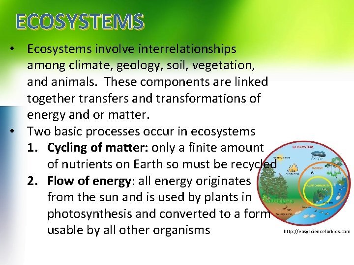 ECOSYSTEMS • Ecosystems involve interrelationships among climate, geology, soil, vegetation, and animals. These components