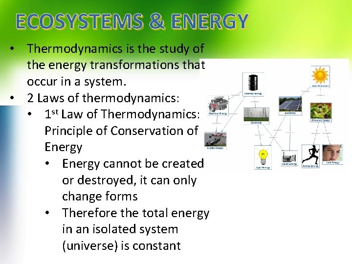 ECOSYSTEMS & ENERGY • Thermodynamics is the study of the energy transformations that occur