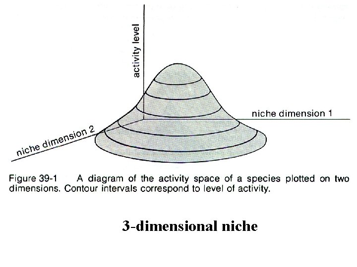 3 -dimensional niche 