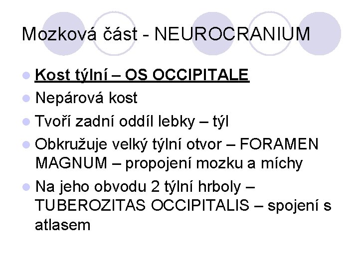 Mozková část - NEUROCRANIUM Kost týlní – OS OCCIPITALE Nepárová kost Tvoří zadní oddíl