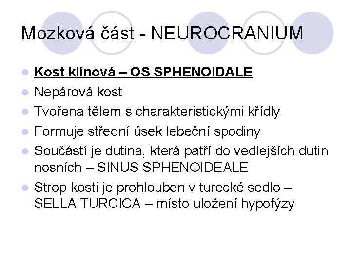 Mozková část - NEUROCRANIUM Kost klínová – OS SPHENOIDALE Nepárová kost Tvořena tělem s