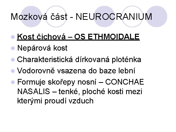 Mozková část - NEUROCRANIUM Kost čichová – OS ETHMOIDALE Nepárová kost Charakteristická dírkovaná ploténka