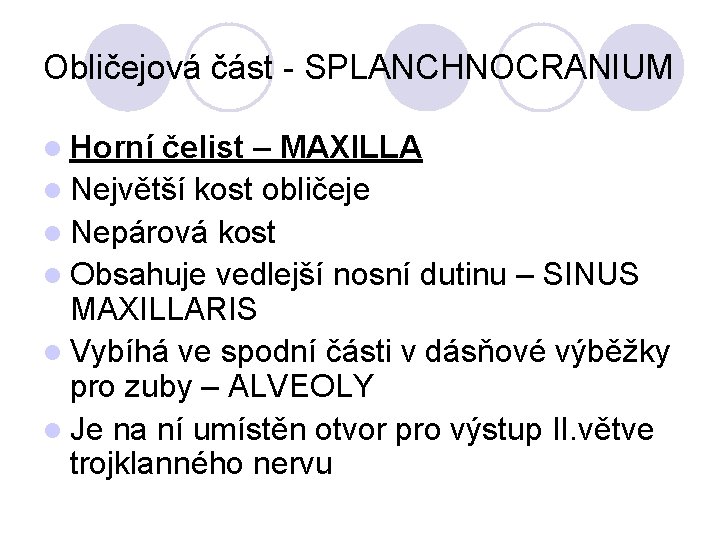 Obličejová část - SPLANCHNOCRANIUM Horní čelist – MAXILLA Největší kost obličeje Nepárová kost Obsahuje