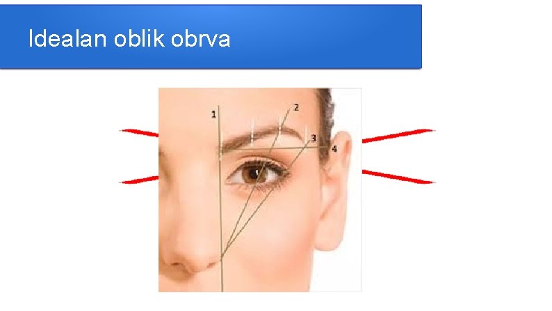 Idealan oblik obrva 