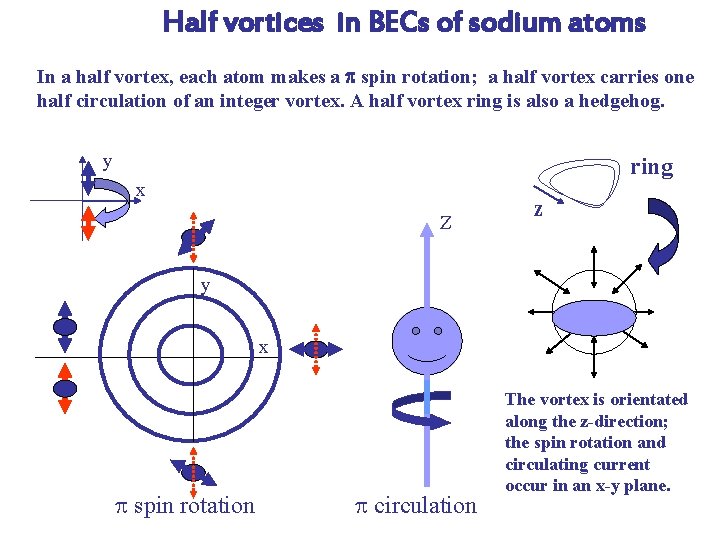 Half vortices in BECs of sodium atoms In a half vortex, each atom makes