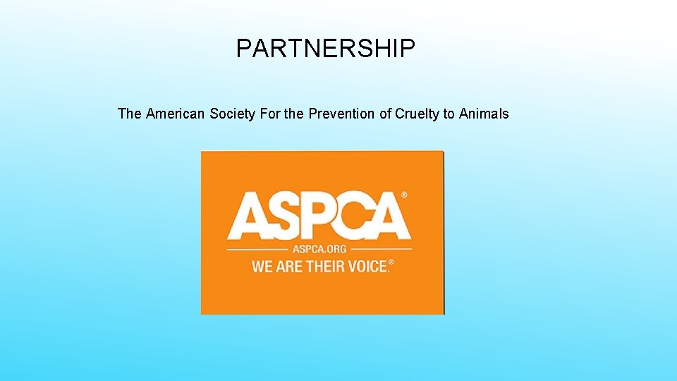 PARTNERSHIP The American Society For the Prevention of Cruelty to Animals 