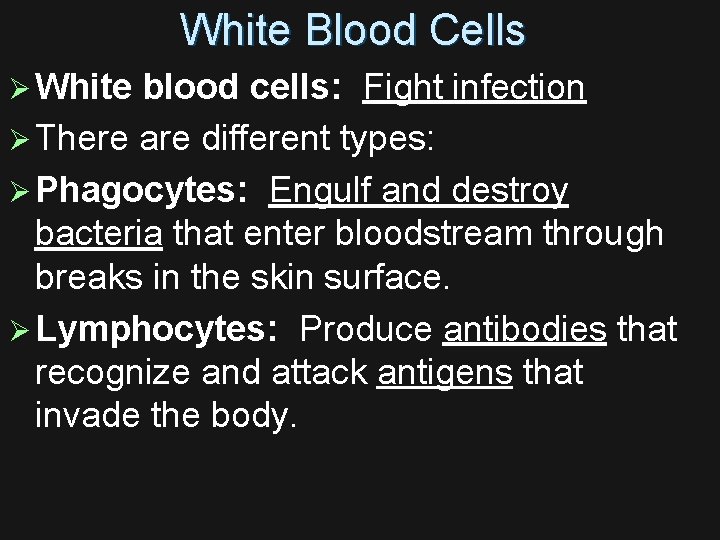 White Blood Cells Ø White blood cells: Fight infection Ø There are different types: