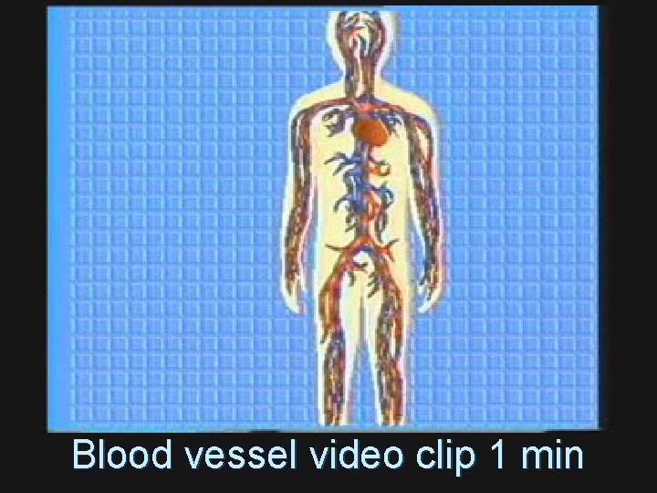 Blood vessel video clip 1 min 