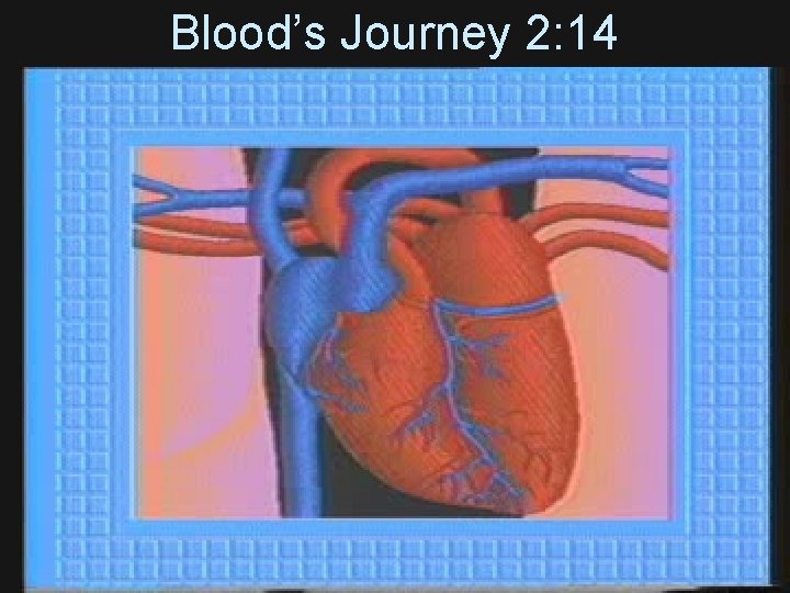 Blood’s Journey 2: 14 