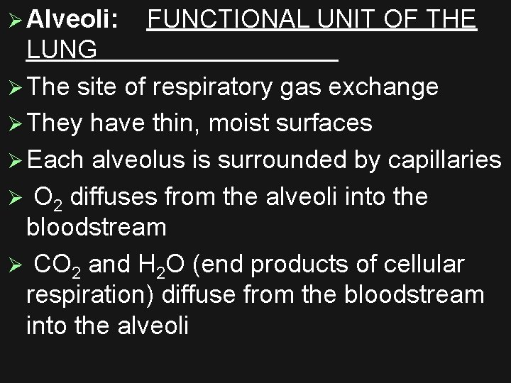 Ø Alveoli: FUNCTIONAL UNIT OF THE LUNG Ø The site of respiratory gas exchange