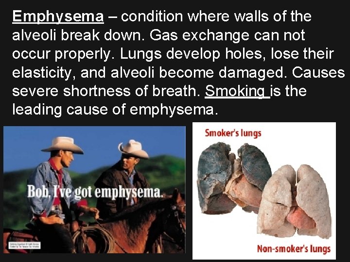 Emphysema – condition where walls of the alveoli break down. Gas exchange can not
