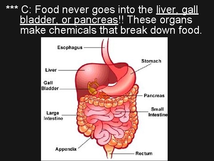 *** C: Food never goes into the liver, gall bladder, or pancreas!! These organs
