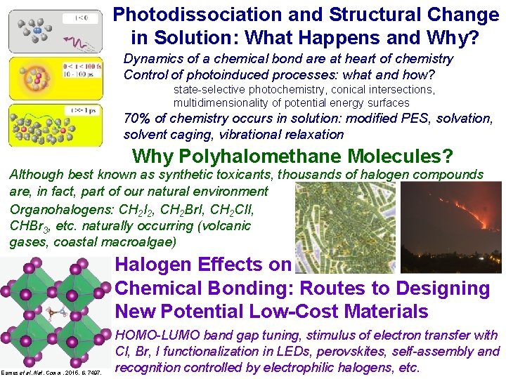 Photodissociation and Structural Change in Solution: What Happens and Why? Dynamics of a chemical