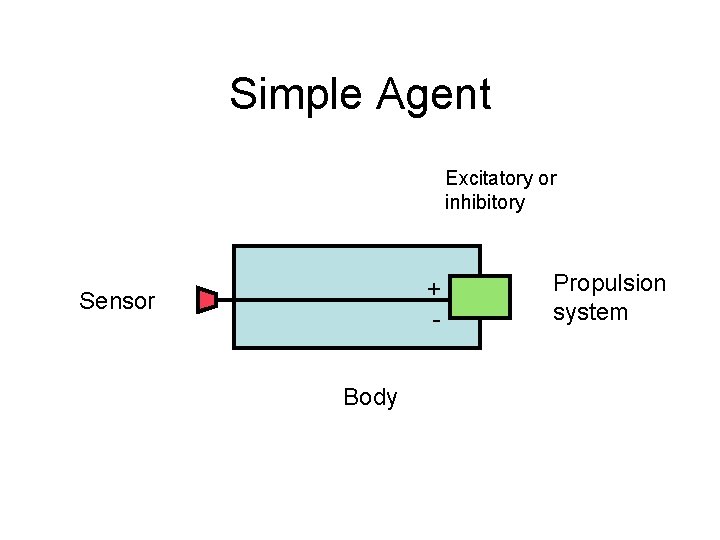 Simple Agent Excitatory or inhibitory + - Sensor Body Propulsion system 