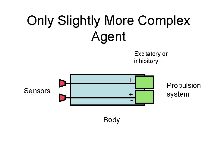 Only Slightly More Complex Agent Excitatory or inhibitory + + - Sensors Body Propulsion