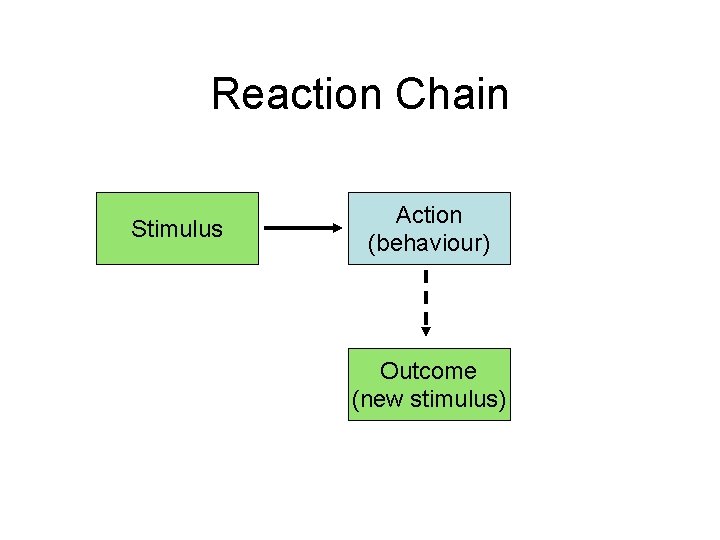 Reaction Chain Stimulus Action (behaviour) Outcome (new stimulus) 