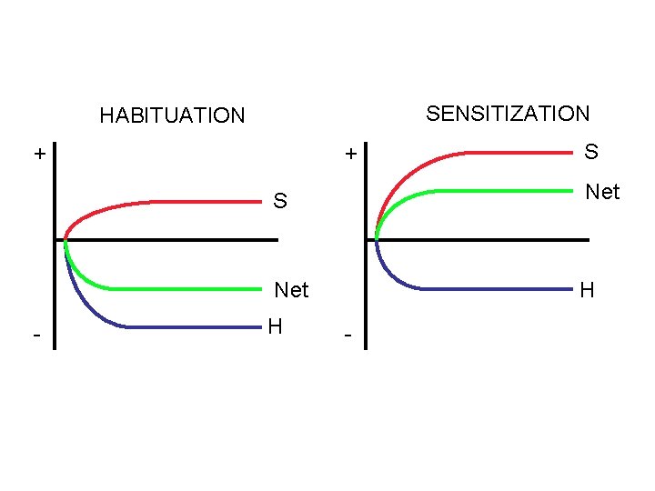 SENSITIZATION HABITUATION + - + S S Net H H - 
