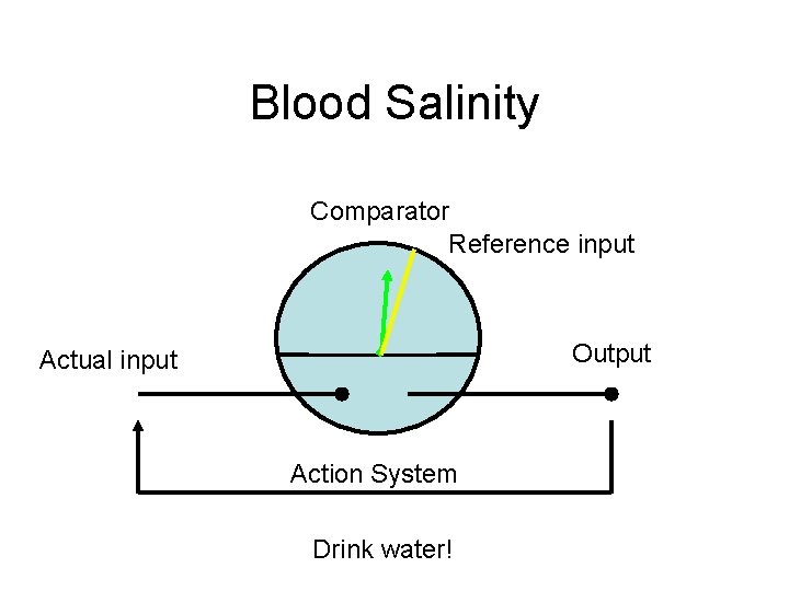 Blood Salinity Comparator Reference input Output Actual input Action System Eat more peanuts! Drink