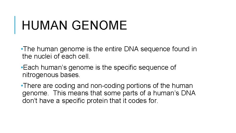 HUMAN GENOME • The human genome is the entire DNA sequence found in the