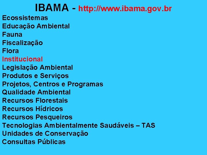 IBAMA - http: //www. ibama. gov. br Ecossistemas Educação Ambiental Fauna Fiscalização Flora Institucional