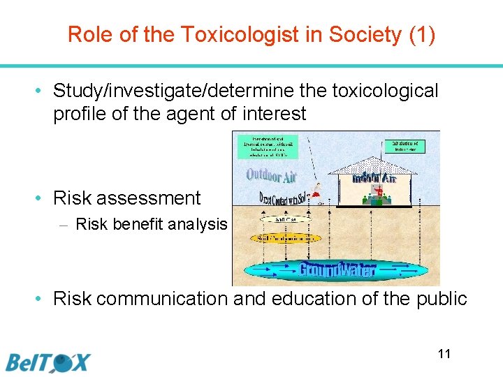 Role of the Toxicologist in Society (1) • Study/investigate/determine the toxicological profile of the