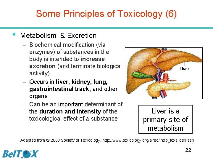 Some Principles of Toxicology (6) • Metabolism & Excretion – Biochemical modification (via enzymes)