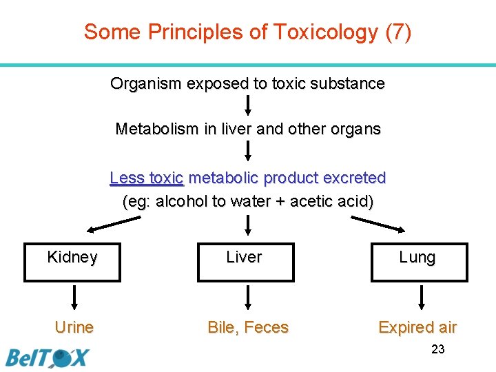 Some Principles of Toxicology (7) Organism exposed to toxic substance Metabolism in liver and