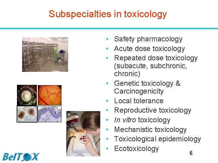Subspecialties in toxicology • Safety pharmacology • Acute dose toxicology • Repeated dose toxicology