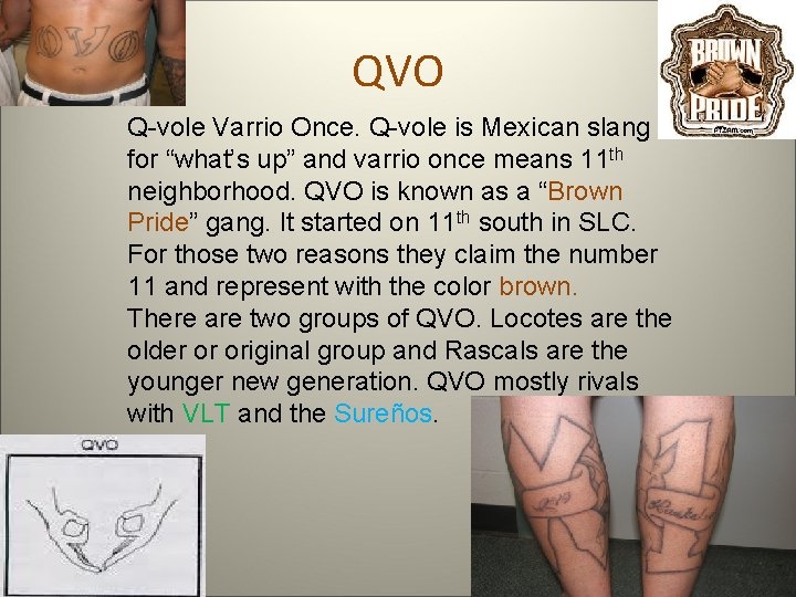 QVO Q-vole Varrio Once. Q-vole is Mexican slang for “what’s up” and varrio once