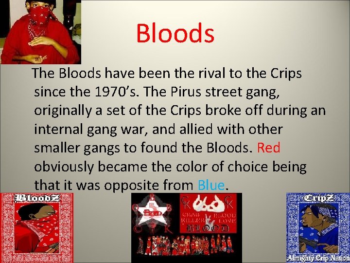 Bloods The Bloods have been the rival to the Crips since the 1970’s. The