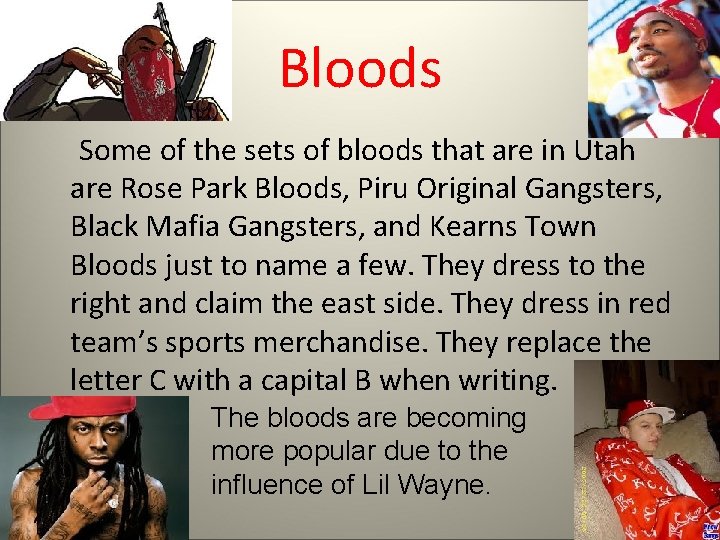 Bloods Some of the sets of bloods that are in Utah are Rose Park