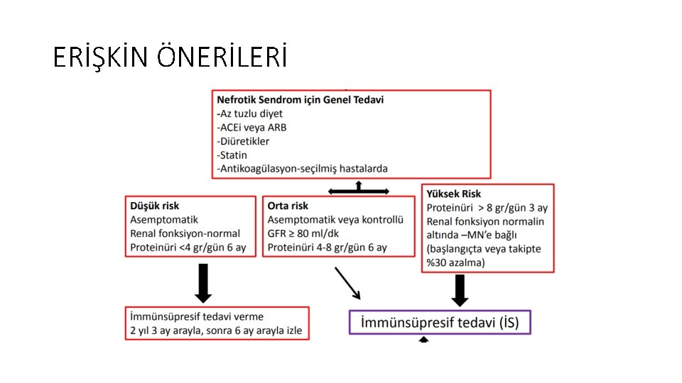 ERİŞKİN ÖNERİLERİ 