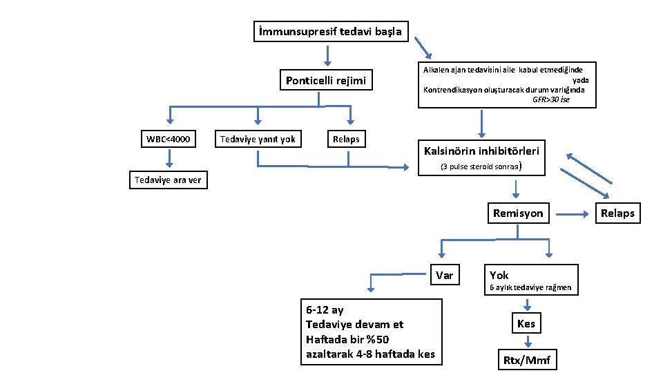 İmmunsupresif tedavi başla Ponticelli rejimi WBC<4000 Tedaviye yanıt yok Relaps Alkalen ajan tedavisini aile