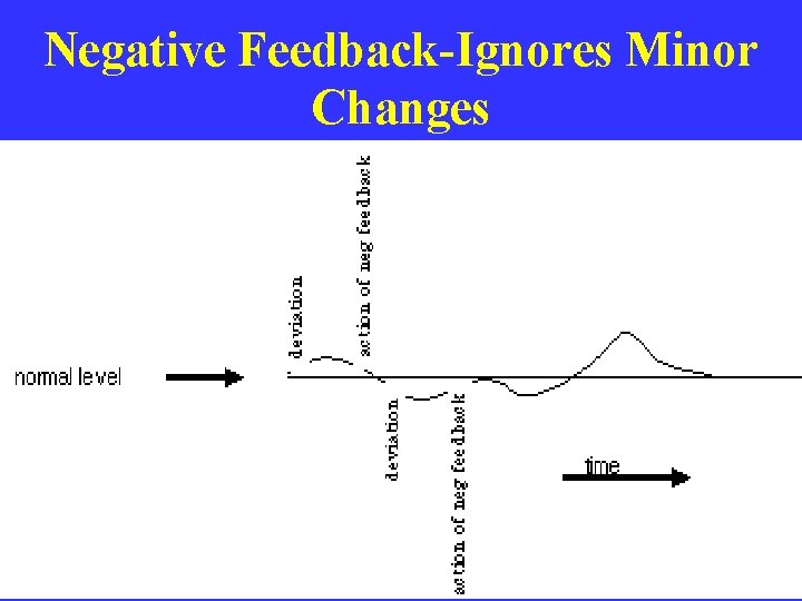 Negative Feedback-Ignores Minor Changes 